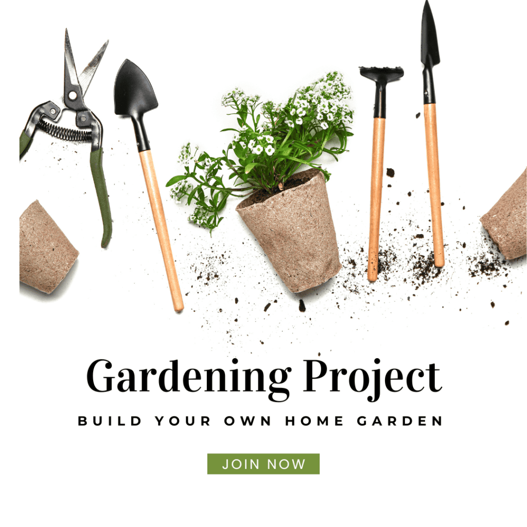 Gardening Project for Kids