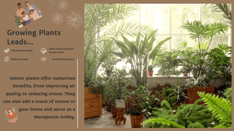 Grow Plants at Home